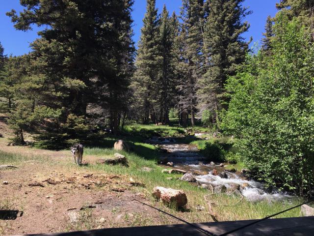 July 2019 Latir Creek, Costilla Park