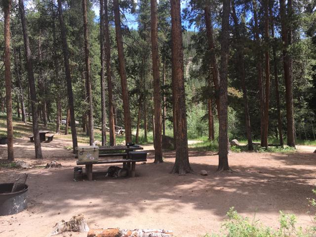 _July 2019 N. Beach CG on the Taylor River_