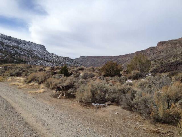 Exploring the Rio Grande Gorge Exploring the Rio Grande Gorge