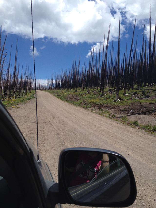 West Fork Complex burn scar above Big Meadows Reservoir July 2015