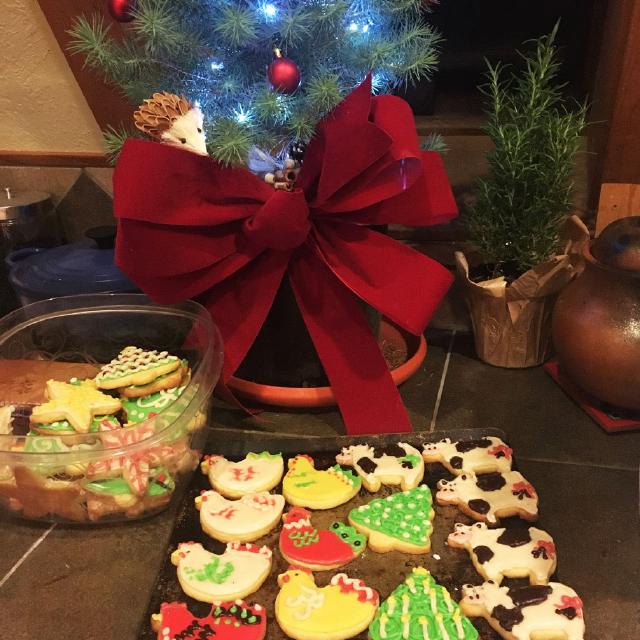 Fueling a Creative Holiday
