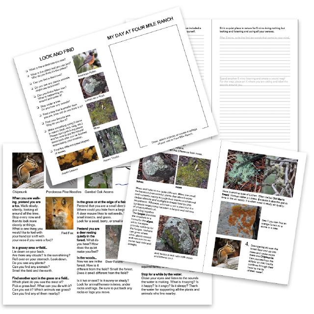 Flyers and field guide pages, Audubon Rockies Four Mile Ranch Program