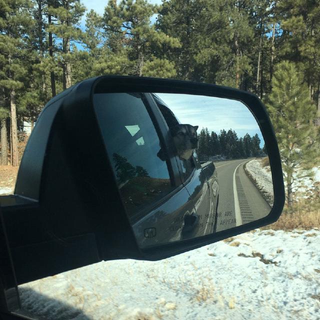 Looking Back, 2019 in Review Looking Back, 2019 in Review