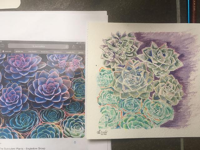 A printout of a photograph from the internet (left). My final watercolor (right).