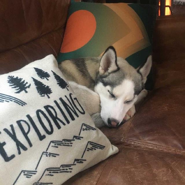 Who doesn’t enjoy cuddling on the couch after a big day playing in the snow! Who doesn’t enjoy cuddling on the couch after a big day playing in the snow!