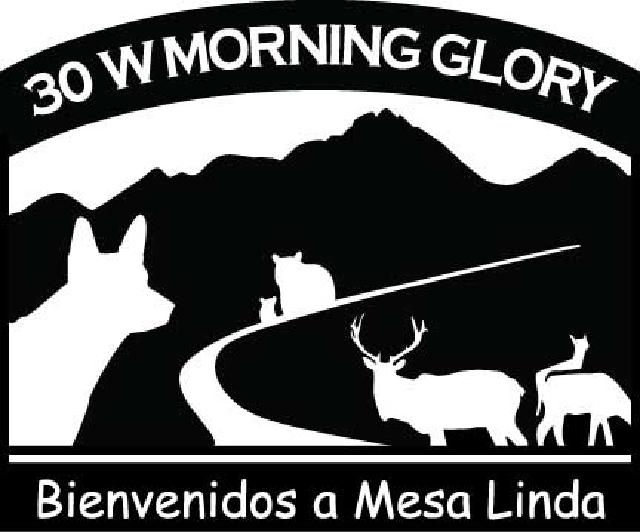 61213mesalinda_wframe 61213mesalinda_wframe
