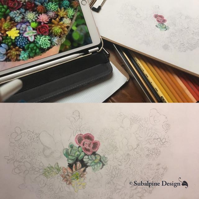 Still a work in progress… Still a work in progress…