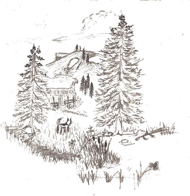 sketch_weaninwoods sketch_weaninwoods