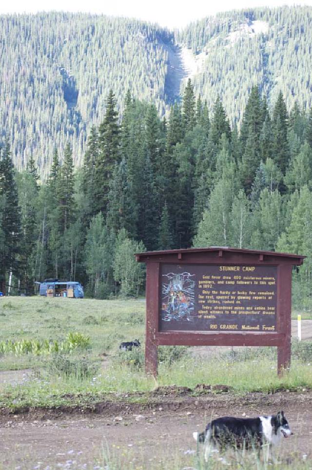 Ultimate Summer Camp(s) Ultimate Summer Camp(s)