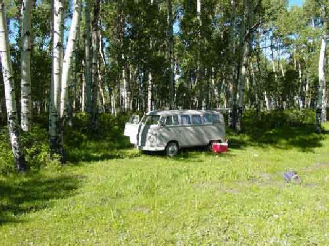 1965 13-window deluxe bus amongst the aspens