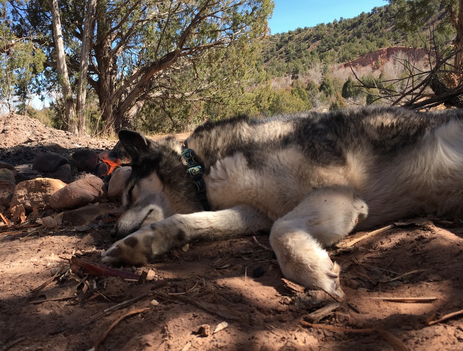 Pakak on the Chama River